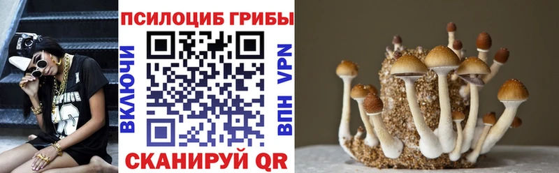 Псилоцибиновые грибы Magic Shrooms  Навашино 